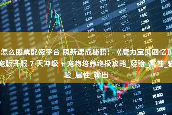 怎么股票配资平台 萌新速成秘籍：《魔力宝贝回忆》十宠版开服 7 天冲级 + 宠物培养终极攻略_经验_属性_输出