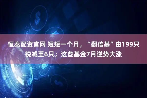 恒泰配资官网 短短一个月，“翻倍基”由199只锐减至6只；这些基金7月逆势大涨